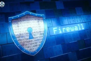 Digital Immune Systems and Traditional Firewalls