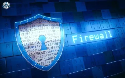 Digital Immune Systems and Traditional Firewalls